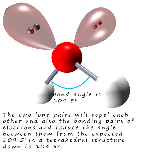 water molecule with its 2 lone pairs of electrons